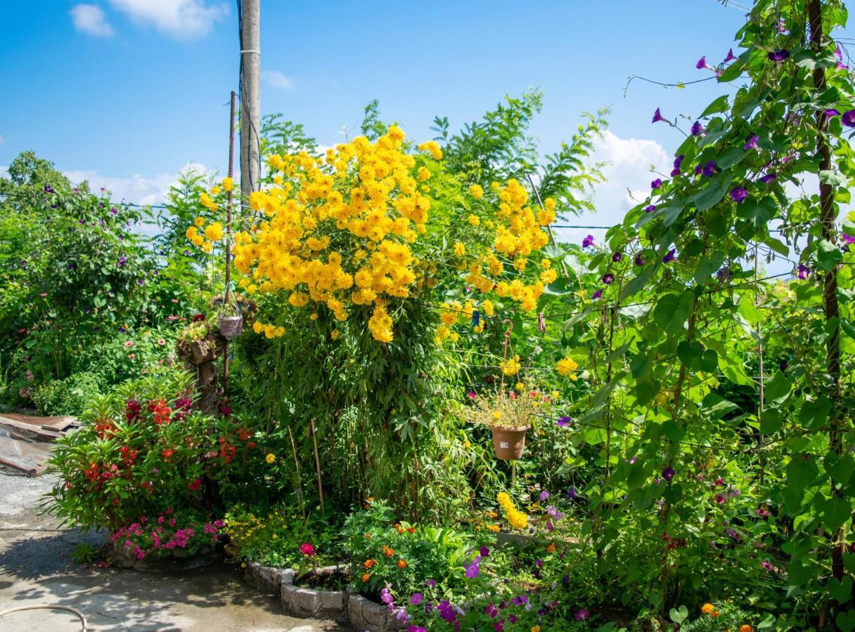 4 Rooms Sighnaghi Exterior foto