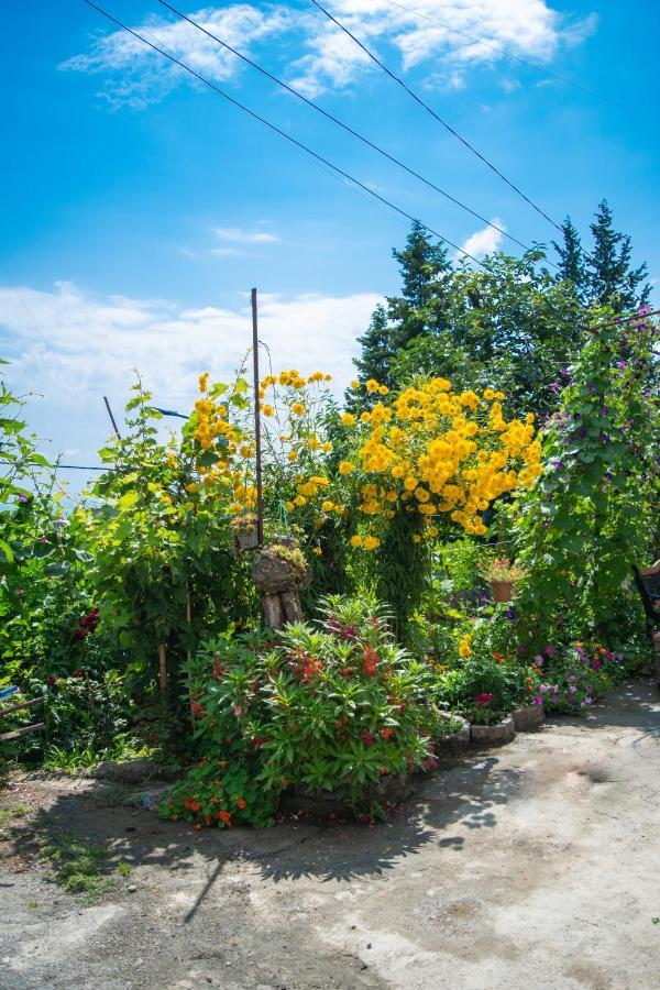 4 Rooms Sighnaghi Exterior foto